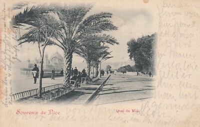 Carte Postale - Souvenir de Nice (Nizza) / Quai du Midi (31)