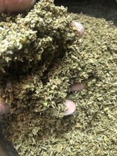 DAMIANA cut sifted bulk wild crafted ORGANIC herb c/s cut sifted leaf 1 lb pound