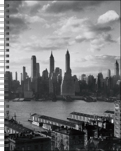 New York in Art 12-Month 2027 Engagement Calendar by  The Met... - 9781419789687 - Image 3