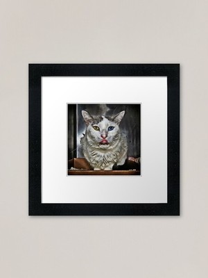 Those Eyes, Those Eyes Framed Art P Framed Wall Art Poster Canvas Print Picture