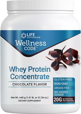 Wellness Code  Whey Protein Concentrate (Chocolate) 640 grams