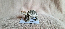 LITTLE CRITTERZ Galapagos Tortoise "Darwin" Miniature Figurine New LC330