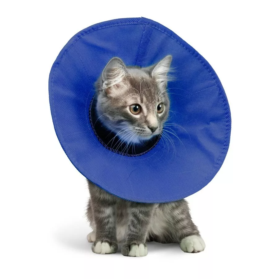 Kong top soft collar
