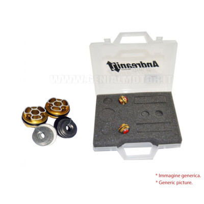 Andreani Kompression Kolben Kit fur Ducati Monster S4 2001 > 2005