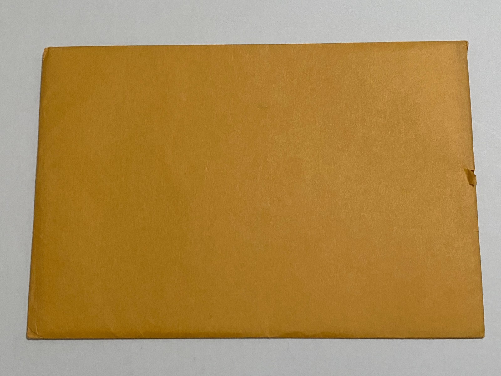 Foto 10 di 11