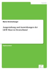 Mario Streimelweger | Ausgestaltung und Auswi...