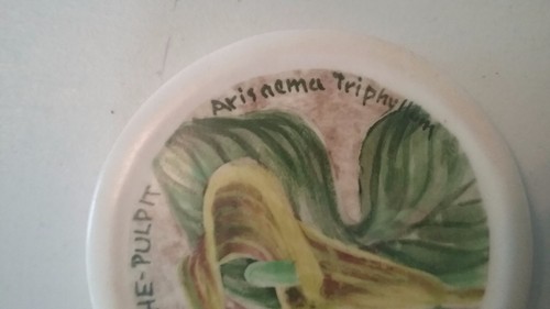 Set of 2 small round plaques, coasters, flowers, original hand painted signed gw - Picture 7 of 7