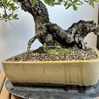 Picture 17 of 19