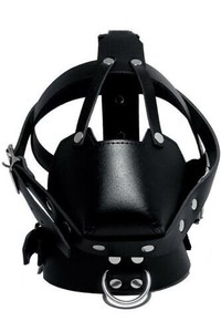 head harness muzzle