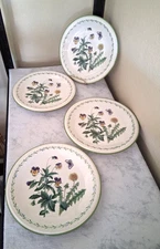 4 Studio Nova GARDEN BLOOM Y2372 Dinner Plates 10 7/8" Multicolor Floral