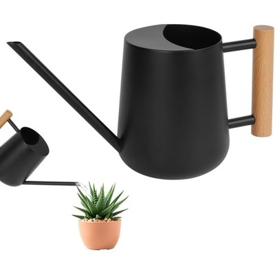 Stainless Steel Watering Can 1L Small Watering Can for Plants Indoor Plants w...