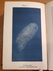 Bild 9 von 24