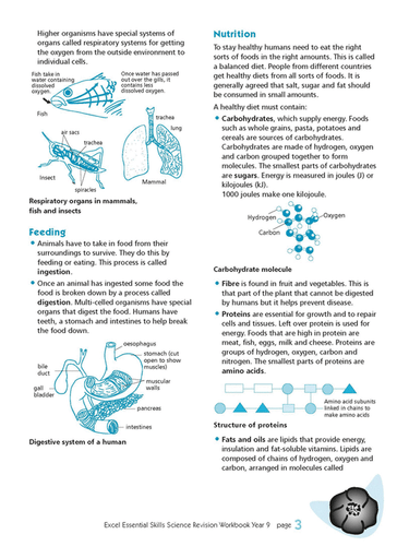 Excel Essential Skills - Science Revision Workbook Year 9 - Picture 6 of 12