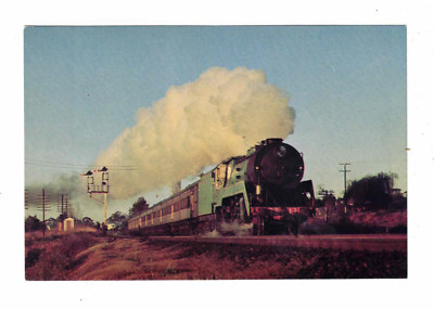 Vintage Postcard - 1969 - Class C38 Train. Pub. N.S.W Rail Transport Museum RTM8