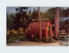 He And She At Grundy's Redwood Terrace, California P-136057