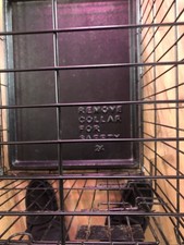 Petmate Folding Steel Wire Dog Crate Cage 24" Small Removable Tray Portable