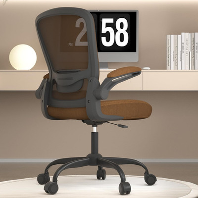 Office Chair, Ergonomic Desk Chair with Adjustable Lumbar Support, High Back Mes