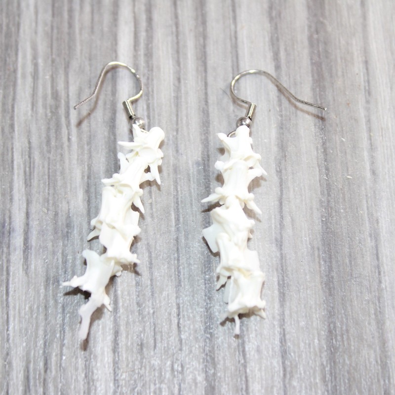 Rattlesnake Vertebrae  Earrings  #25366   Mountain Man Earrings