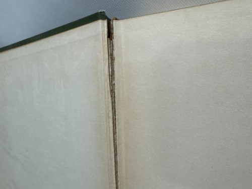 1909 Unser Binnenmeer Die Geschichte eines Gehöfts von Alfred Lambourne Hardcover - Bild 9 von 15