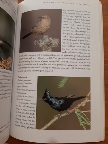 Birds of the American Southwest by Lynn Hassler 2008 2nd Ed EX-LIBRARY PAPERBACK - Picture 5 of 7