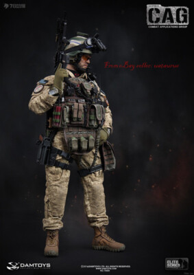 Perfect Damtoys 78009 1/6 Cag Combat Applications Group In Stock