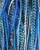 4-6 True Blues  Grizzly Genuine Rooster Feathers for Hair Extension-5 Feathers 