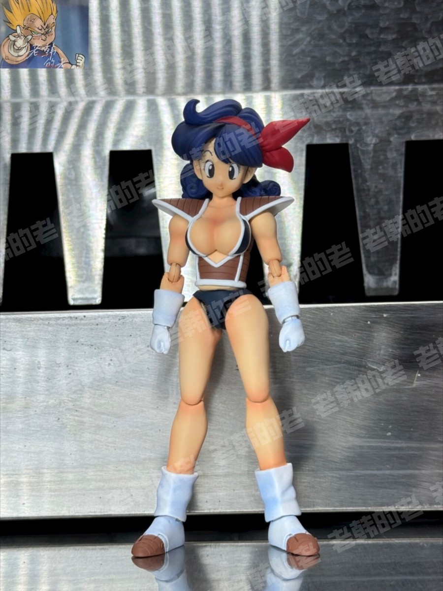 custom dragonball shf Lunch | eBay