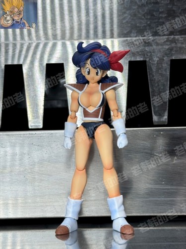 custom dragonball shf Lunch