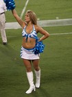 Carolina Panthers Cheerleaders 8"x 10" Photo
