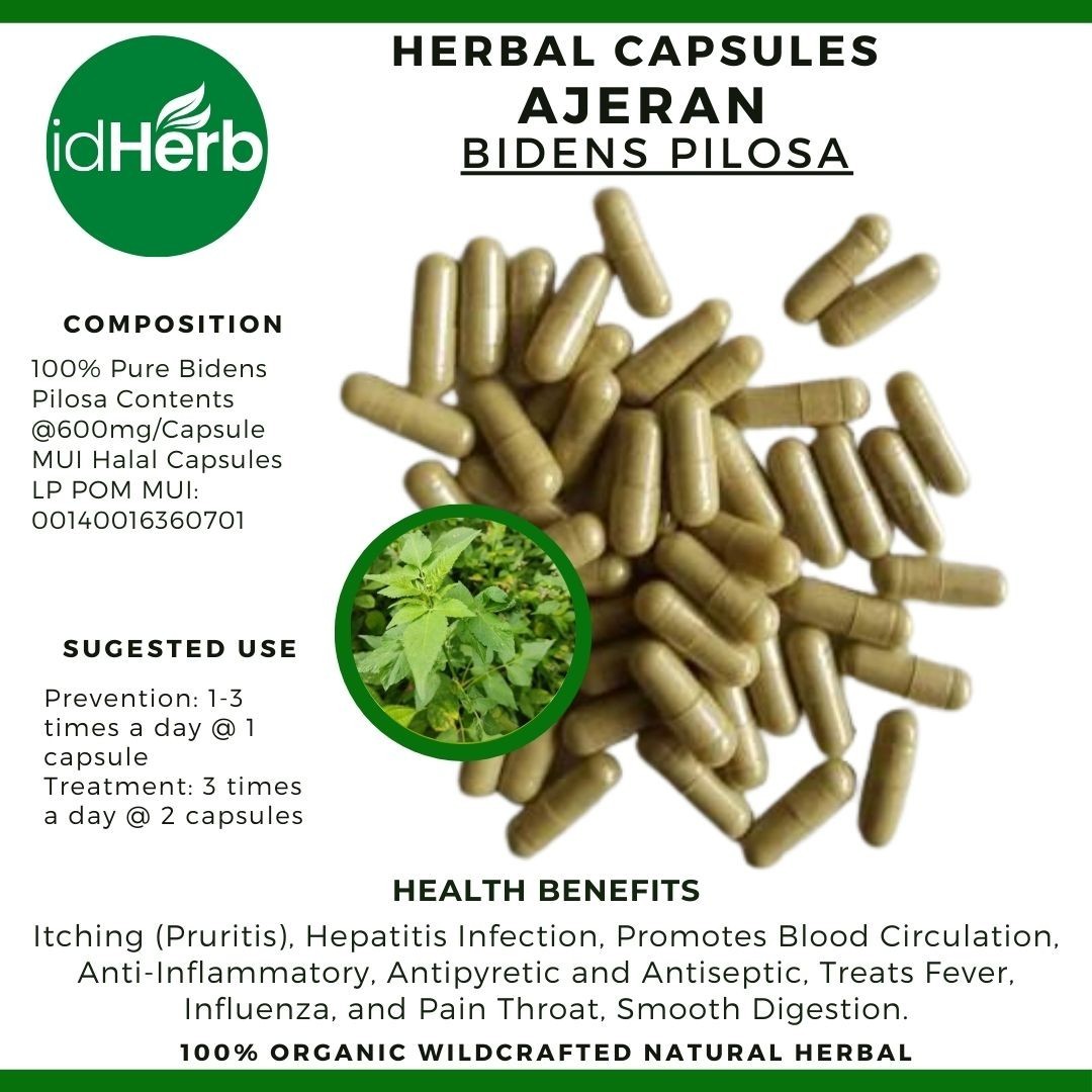 100-500 Cápsulas Bidens Pilosa Ajeran Natural Orgánico WildCrafted
