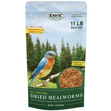 Dried Mealworms 11 lb. - High Protein Insects - Sugar Glider, Chicken, Wild Bird
