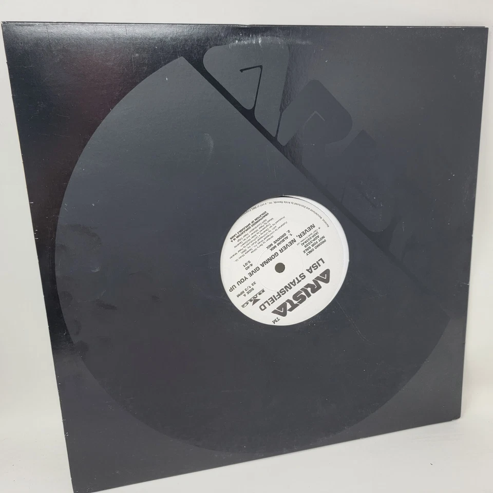 Lisa Stansfield Never Gonna Give You Up x1 12" Vinyl Record Single - Image 4 of 4
