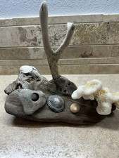 Driftwood Coastal Sculpture w Tree Seashells Coral Beach Decor 6.5  H X 9  L