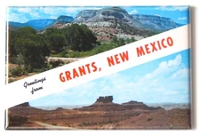 Greetings from Grants New Mexico FRIDGE MAGNET travel souvenir "style B"