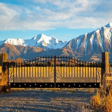 20x8 FT Steel Dual Swing Driveway Gate Powder Coated Rust Resistant Star Style