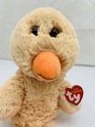 Bild 12 von 15