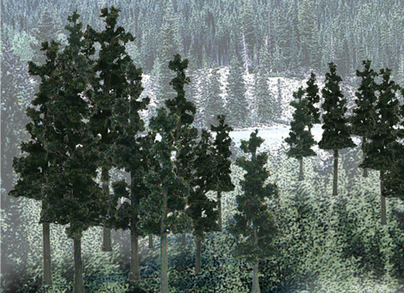 WOODLANDSCENICS TREES 2セットTR 1581、TR1571 Woodland Scenics ~ Value Trees ~ Conifer ~ 4