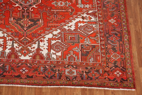 Alfombra de salón tradicional anudada a mano lana óxido color vegetal 8x11 - Imagen 5 de 19