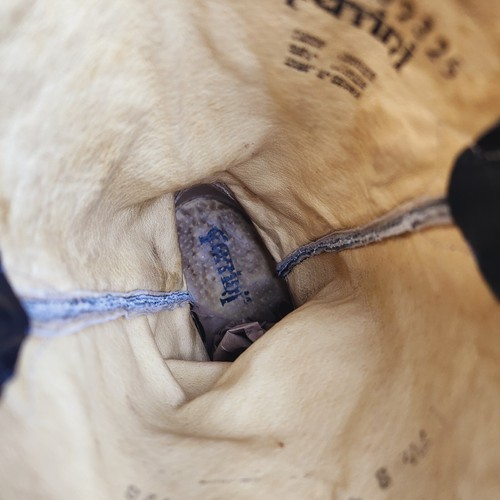 Ferrini Ladies Size 7.5 Black Blue Caiman Cross Cowgirl Crocodile Boots 90393-25 - Picture 11 of 13