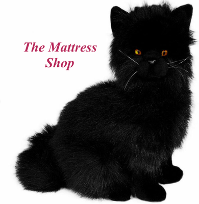 Black Persian CAT Onyx BOCCHETTA 38cm 15" Plush Soft Toy Laying - Foto 7