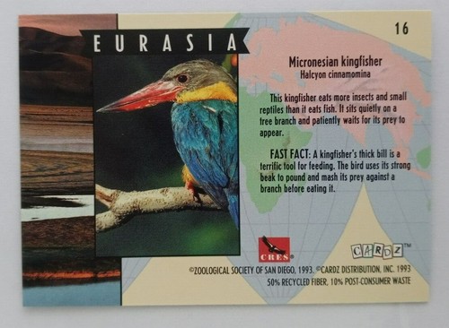 1993 CARDz San Diego Zoo Trading Cards (Pick Your Card) - Picture 33 of 221