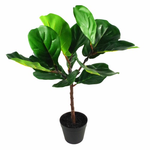 GRANDES Palmeras Artificiales, Plantas Ficus, Bambú Tropical Yukka ULTRA REALISTA - Imagen 10 de 187