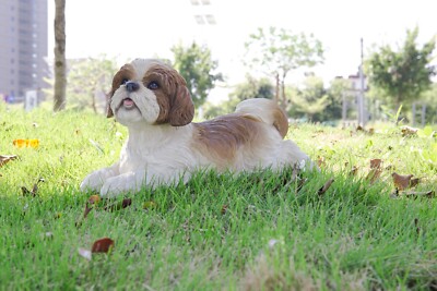Lying Shih Tzu Lifelike Dog Garden Statue Black/Brown Garden Home Decor