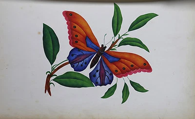 CHINE XIX ème : Gouache et aquarelle Papillon sur sa branche insecte flore - Photo 1/4