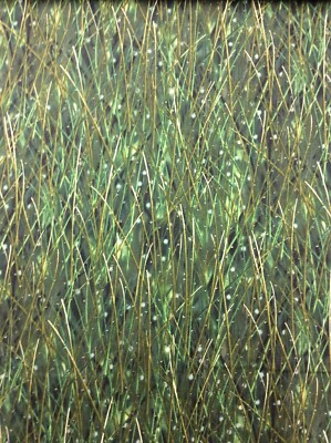 Wiesenregen S#L7261 von Hoffmann Stoffe 100% Baumwolle Farbe 2