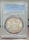 1891 Morgan Dollar - MS-61 - PCGS - Nice Tones - Great Eye Appeal