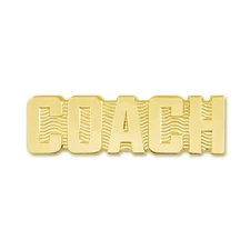 PinMart's COACH Chenille Pin