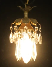 Small pendant hanging mini flower leaf SWAG lamp Chandelier Crystal prism Brass 