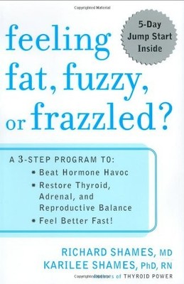 FEELING FAT, FUZZY OR FRAZZLED: A 3-STEP PROGRAM TO: BEAT By Karilee NEW