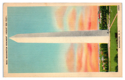 Postcard: M510:-WASHINGTON MONUMENT (HEIGHT 555 FEET). WASHINGTON, D.